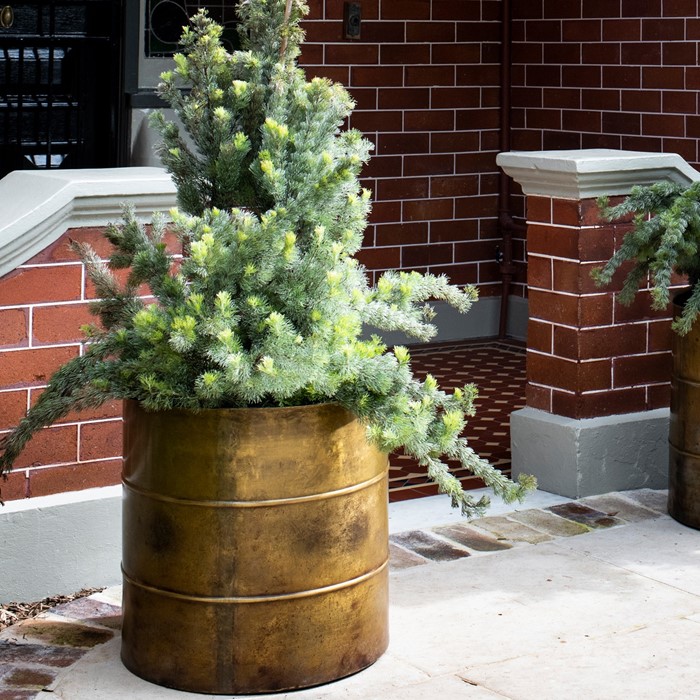 Picture of MOHAN Indian Brass Ringed Planter