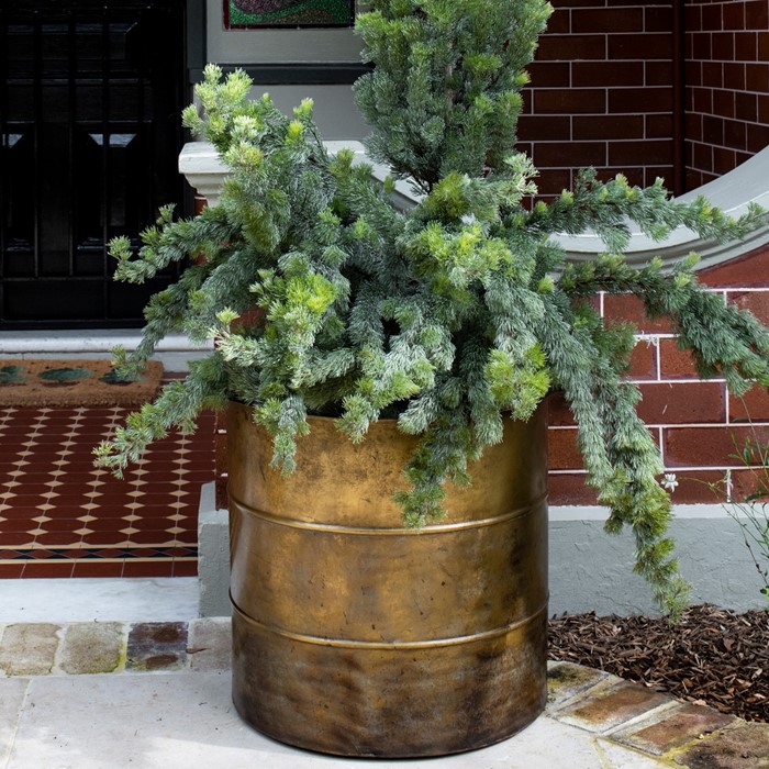 Picture of MOHAN Indian Brass Ringed Planter