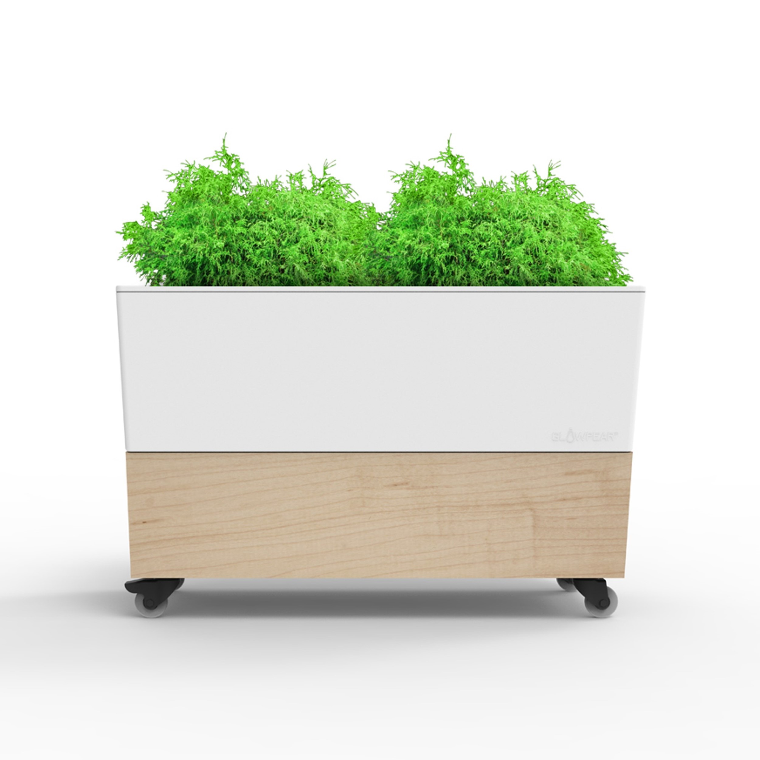 Picture of Glowpear Single Café Planter