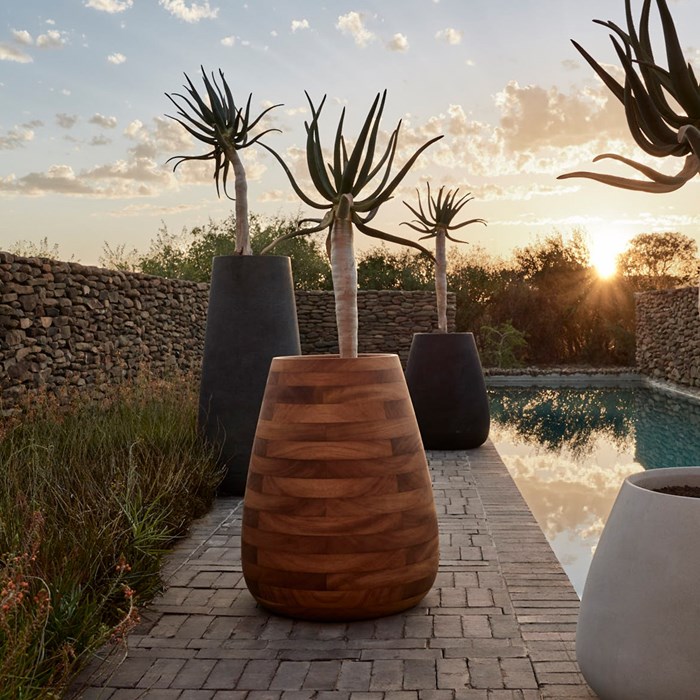 Picture of TUBER Iroko Timber Planter