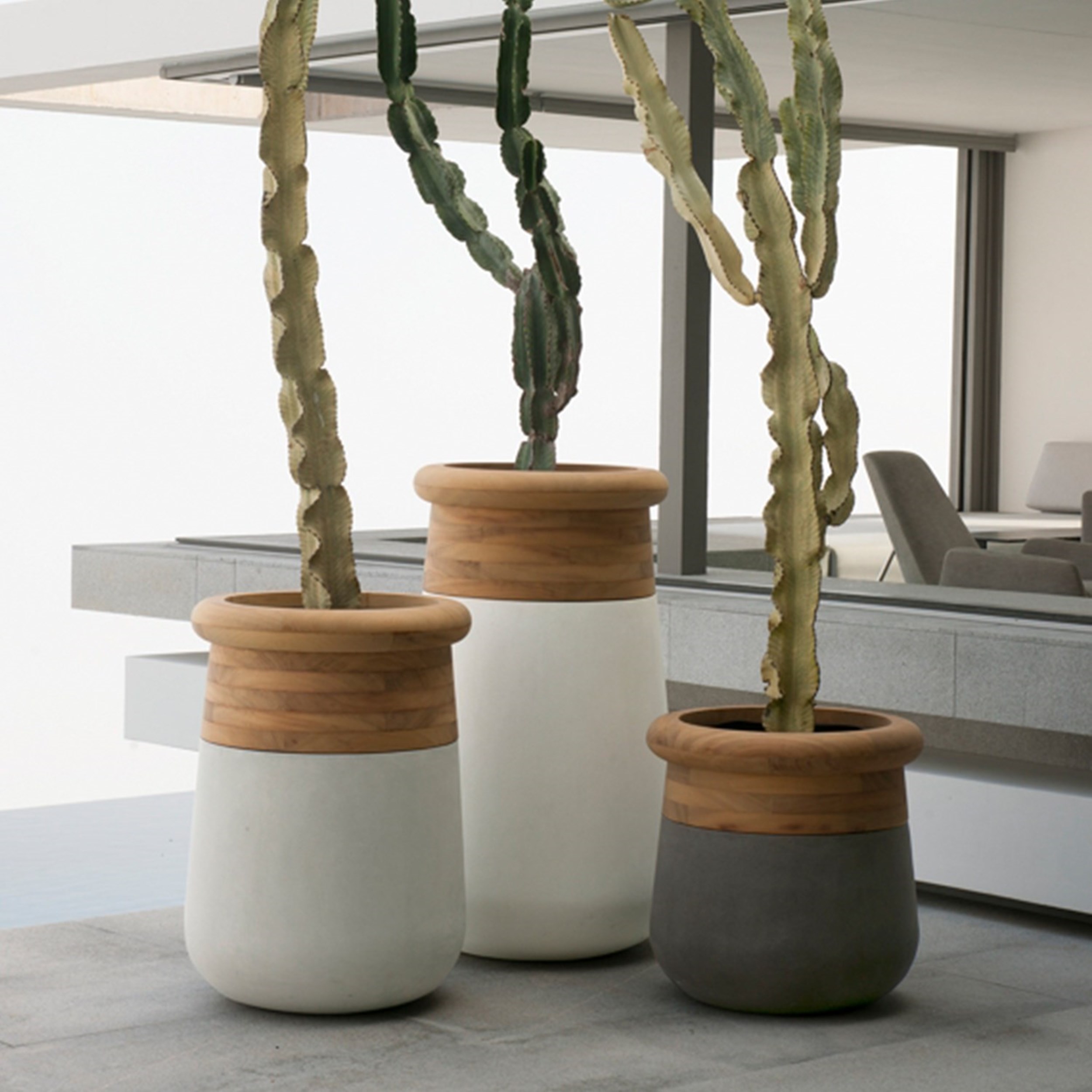 Picture of SOMA Iroko Timber Top Concrete Planter