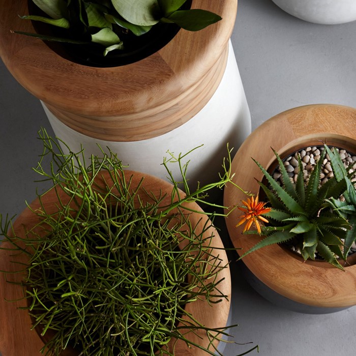 Picture of SOMA Iroko Timber Top Concrete Planter