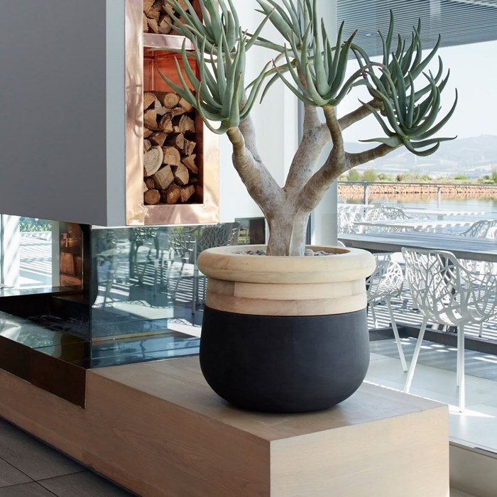 Picture of SOMA Iroko Timber Top Concrete Planter